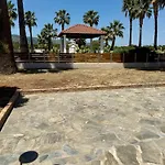 Paradise & *